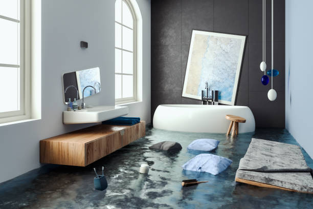 Best Professional water damage repair  in Smith Valley, NV