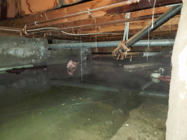 Best 24/7 water damage repair  in Smith Valley, NV