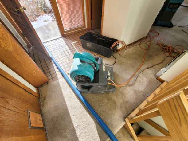 Water damage restoration mold remediation in Smith Valley, NV