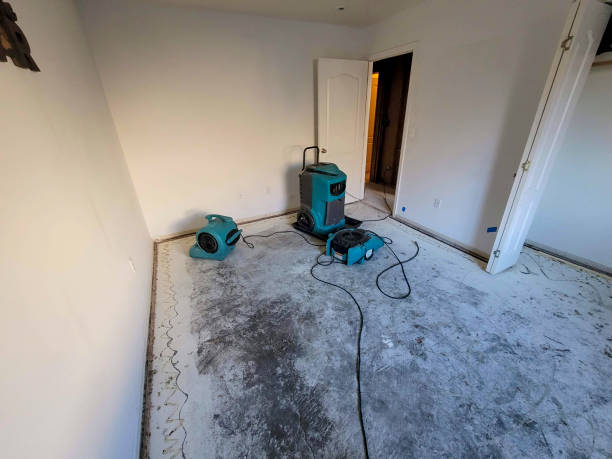 Best Local water damage restoration  in Smith Valley, NV