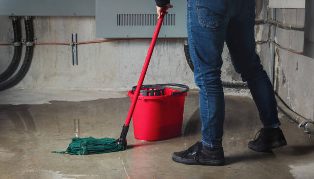 Best Fire Damage Restoration  in Smith Valley, NV