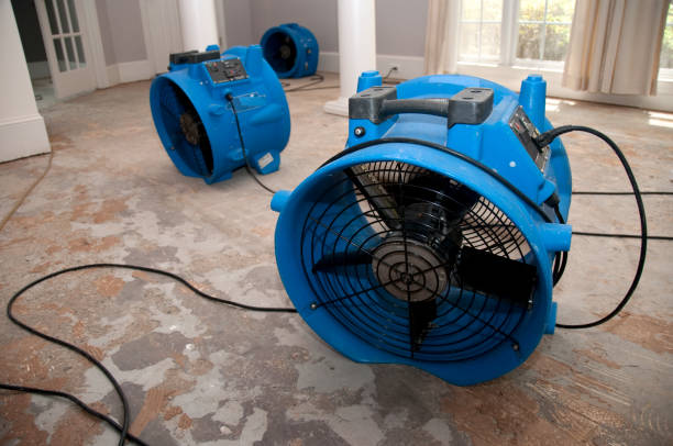 Smith Valley, NV Water damage restoration Company