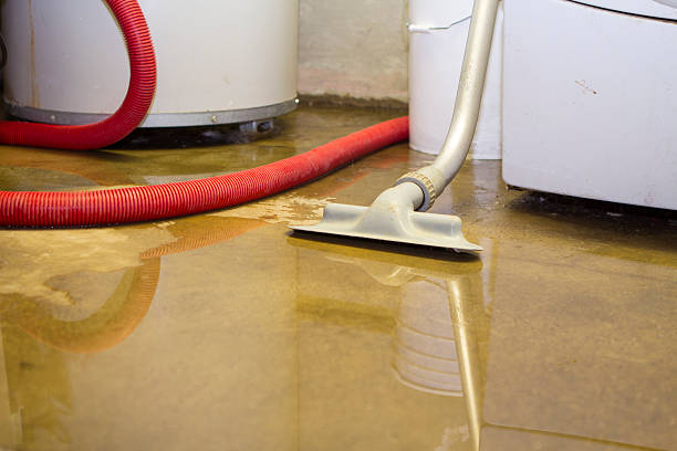 Best Commercial water damage restoration  in Smith Valley, NV